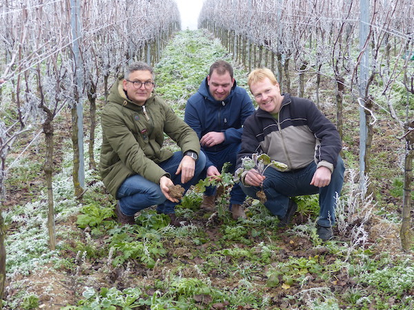 Kraichtaler David Klenert mit Hilfe aus Oberschwaben erster deutscher Klima-Winzer! Weinprobe bei Ihrem Wein-Musketier! Wein kaufen